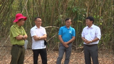 3.	ĐẢM BẢO CÁC PHƯƠNG ÁN SẴN SÀNG TRONG CÔNG TÁC PHÒNG CHỐNG CHÁY RỪNG