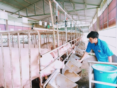 Thanh niên Bù Đốp sử dụng hiệu quả nguồn vốn chính sách