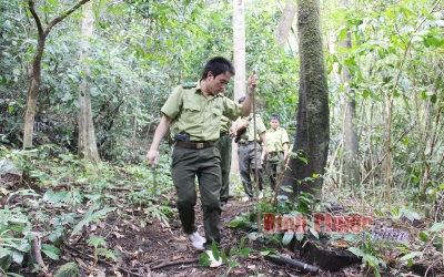 Bình Phước quy định 5 cấp dự báo cháy rừng