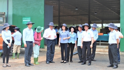 Phó bí thư thường trực Tỉnh ủy và Lãnh đạo Huyện Bù Đốp thăm, làm việc với Công ty cổ phần sản xuất và thương mại Trường Tồn.