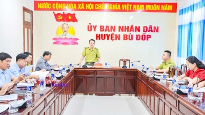 Năm 2024 Bù Đốp dự kiến trồng 47.500 cây xanh