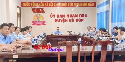 Hội nghị trực tuyến thông tin cơ sở