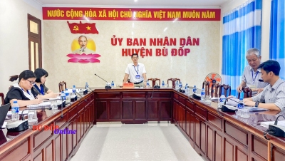 Hội nghị sơ kết 6 thực hiện Chiến lược quốc gia về Dinh dưỡng