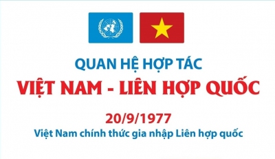 Quan hệ hợp tác Việt Nam - Liên hợp quốc